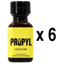 BGP Leather Cleaner PROPYL 24ml x6